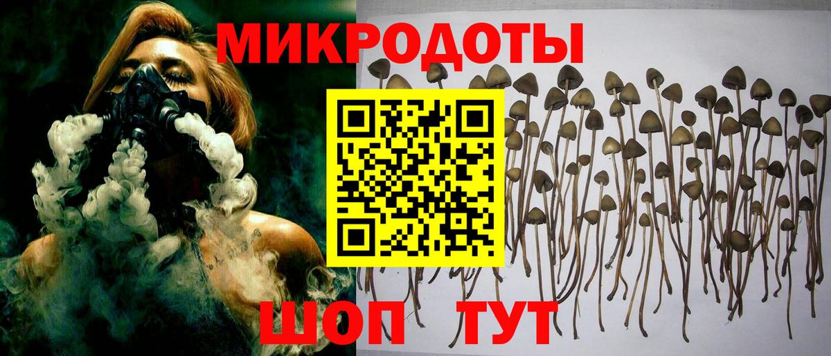 Галлюциногенные грибы MAGIC MUSHROOMS Новороссийск
